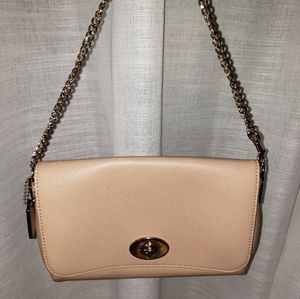 Coach Mini Clutch bag